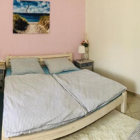 Apartman U Reky Srbsko Экстерьер фото