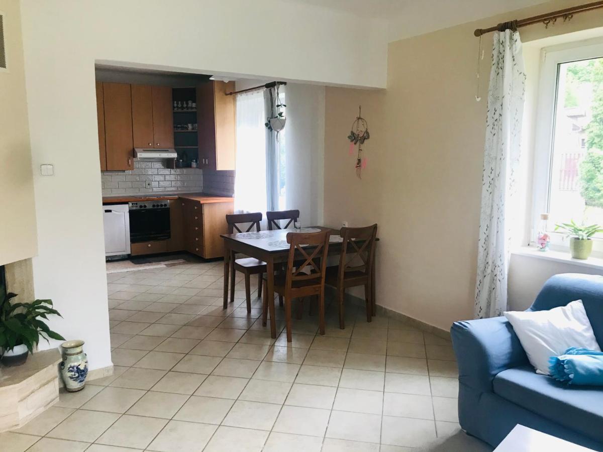 Apartman U Reky Srbsko Экстерьер фото